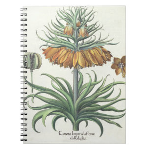 Fritillary: Corona Imperialis florum classe duplic Notebook