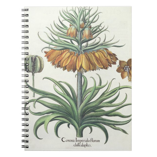 Fritillary: Corona Imperialis florum classe duplic Notebook (Front)