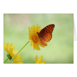 Fritillary Fun - Butterfly