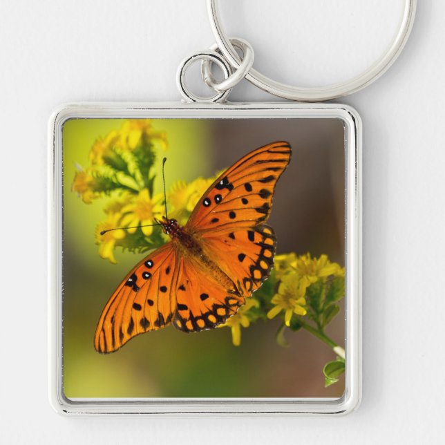 Fritillary Gulf Butterfly Gifts and Apparel Key Ring (Front)