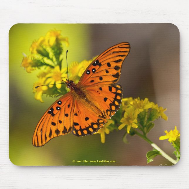 Fritillary Gulf Butterfly Gifts and Apparel Mouse Mat (Front)