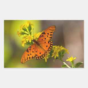 Fritillary Gulf Butterfly Gifts and Apparel Rectangular Sticker