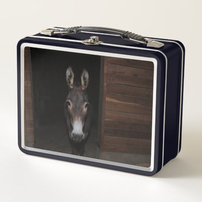 Frito the Donkey Metal Lunch Box (Front)