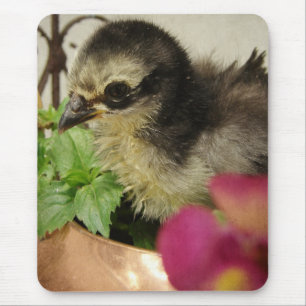 Frizzle Chick in Flowers Mouse Mat