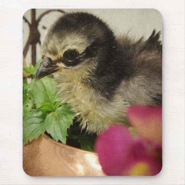 Frizzle Chick in Flowers Mouse Mat (Front)