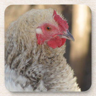 Frizzle Rooster Coaster