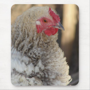 Frizzle Rooster Mouse Mat