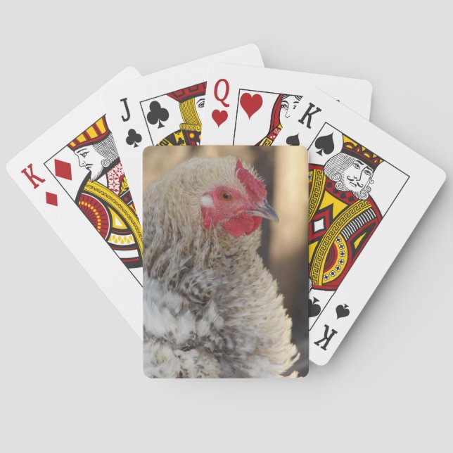 Frizzle Rooster Playing Cards (Back)