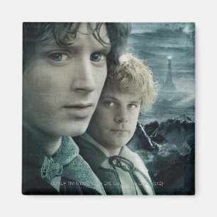 FRODO™ and Samwise Close Up Magnet