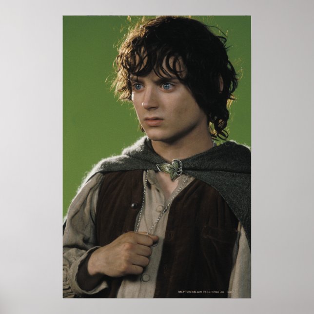 FRODO™ Holding Ring Poster (Front)