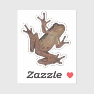 frog
