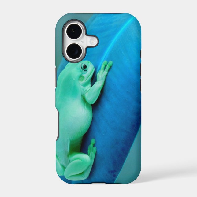 Frog (Back)