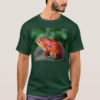 frog1_dark/bgrnd T-Shirt
