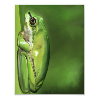 Frog-1 Oil Painting Photo Print