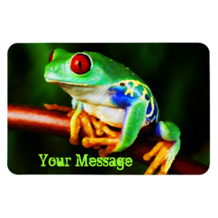 Frog 1 Premium Magnet