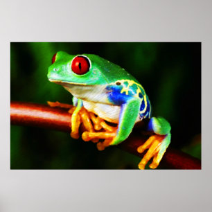 Frog 1 Print