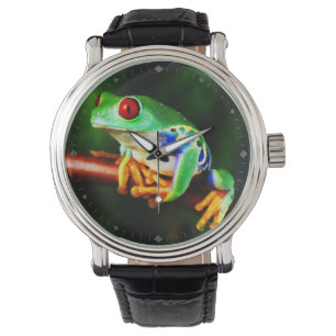 Frog  1 Watch & Numeral Options