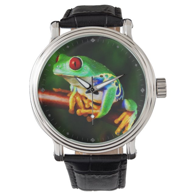 Frog  1 Watch & Numeral Options (Front)