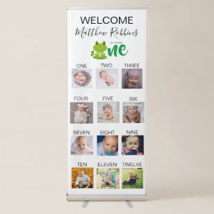 Frog 1st Birthday Party Retractable Banner