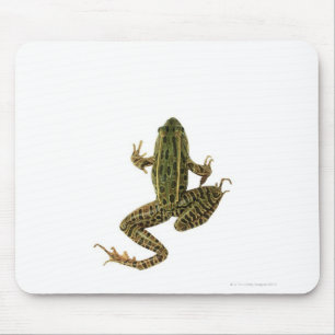 Frog 2 mouse mat