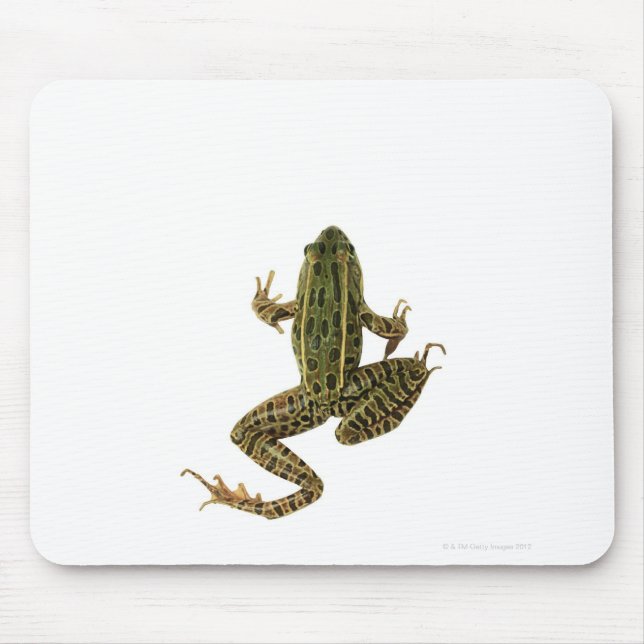 Frog 2 mouse mat (Front)
