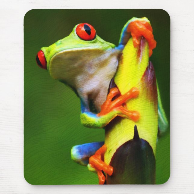 Frog 2 Mousepad (Front)