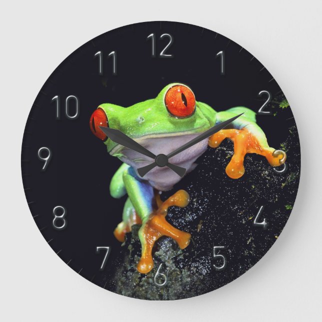 Frog 3 Clock Options (Front)