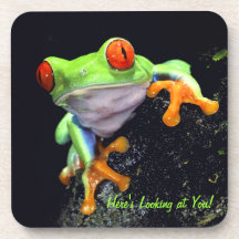 Frog 3 Coaster