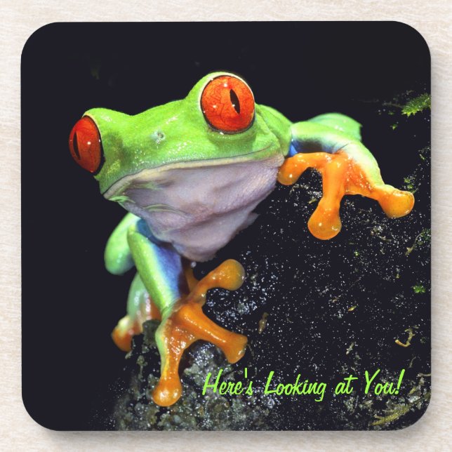 Frog 3 Coaster (Front)