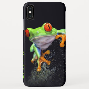 Frog 3 iPhone Case