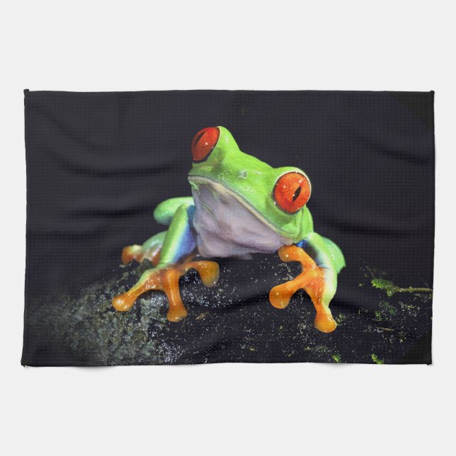 Frog 3 Kitchen Towels (Horizontal)