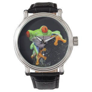 Frog  3 Watch & Numeral Options