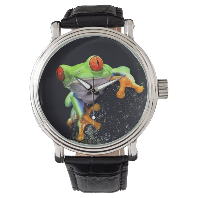 Frog  3 Watch & Numeral Options (Front)