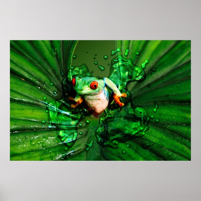 Frog 4 Poster (Front)