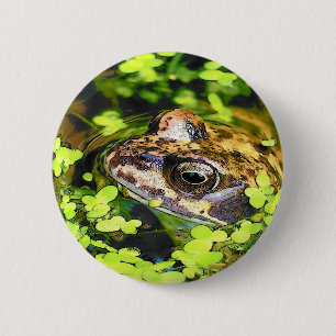 FROG 6 CM ROUND BADGE
