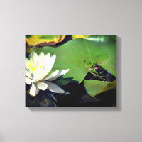 Frog Admiring Lotus Water Lily Flower