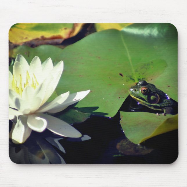 Frog Admiring Lotus Water Lily Flower Mouse Mat (Front)
