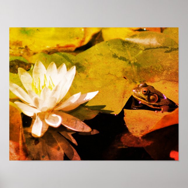 Frog Admiring Water Lily Abstract Distressed Poster (Front)