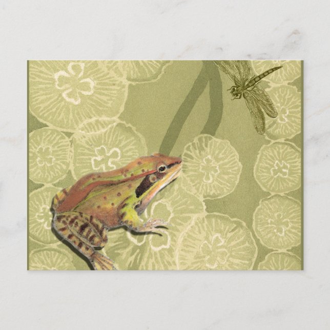 Frog and Dragonfly on Water Lilies Postcard (Front)