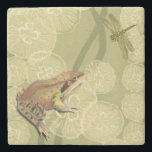 Frog and Dragonfly on Water Lilies Stone Coaster<br><div class="desc">This contemporary fine art print of a frog and a dragonfly on water lilies will brighten any product you choose. Get it on your favourite Zazzle product today!</div>