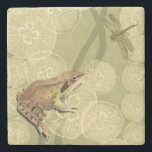 Frog and Dragonfly on Water Lilies Stone Coaster<br><div class="desc">This contemporary fine art print of a frog and a dragonfly on water lilies will brighten any product you choose. Get it on your favourite Zazzle product today!</div>