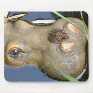 frog and hippo mouse mat