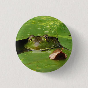 Frog and Lily Pads 3 Cm Round Badge