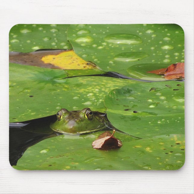 Frog and Lily Pads Mouse Mat (Front)