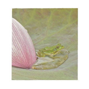 Frog and lotus flower petal, China, Notepad