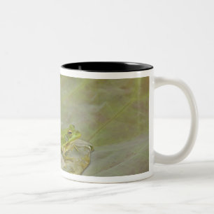 Frog and lotus flower petal, China, Two-Tone Coffee Mug