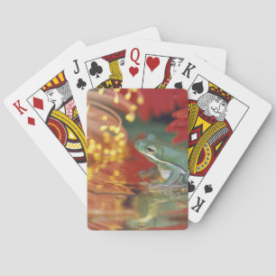 Frog and reflections among flowers. Credit as: Playing Cards