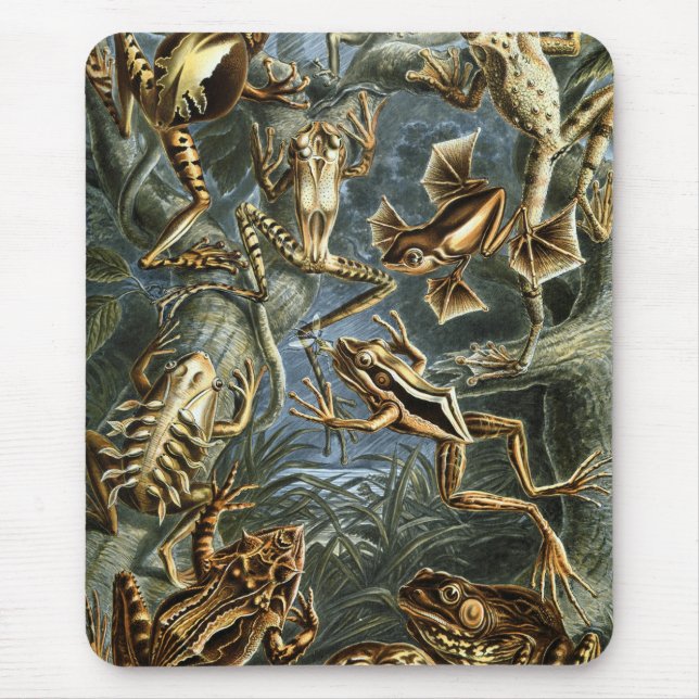 Frog and toad Ernst Haeckel vintage Mouse Mat (Front)