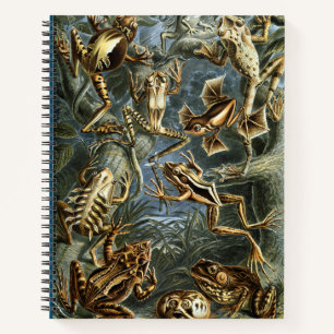 Frog and toad Ernst Haeckel vintage Notebook