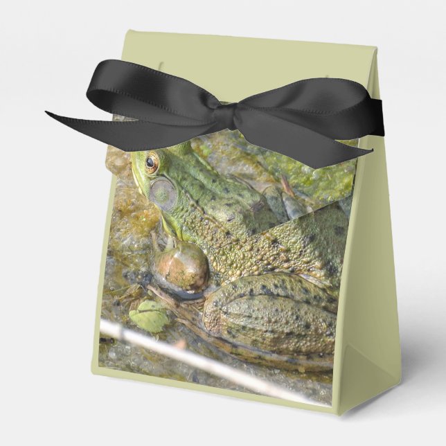 Frog Birthday Party Kids Boy Animal Favour Box (Front Side)